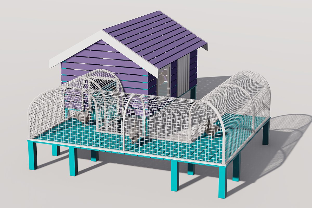 Alimentador de juegos de aves de corral1