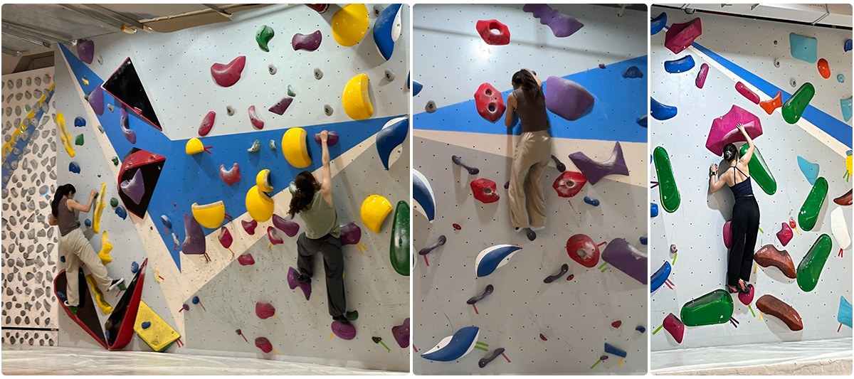 Exhibici&oacute;n del producto (17)