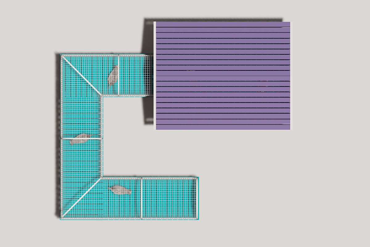 Aves de corral alimentador3